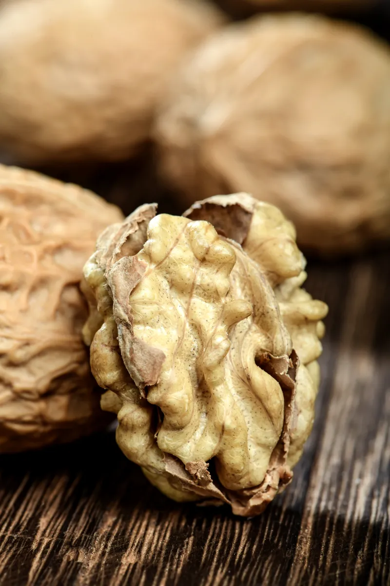 Natural organic walnuts bulk raw walnut kernels